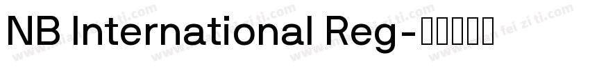 NB International Reg字体转换